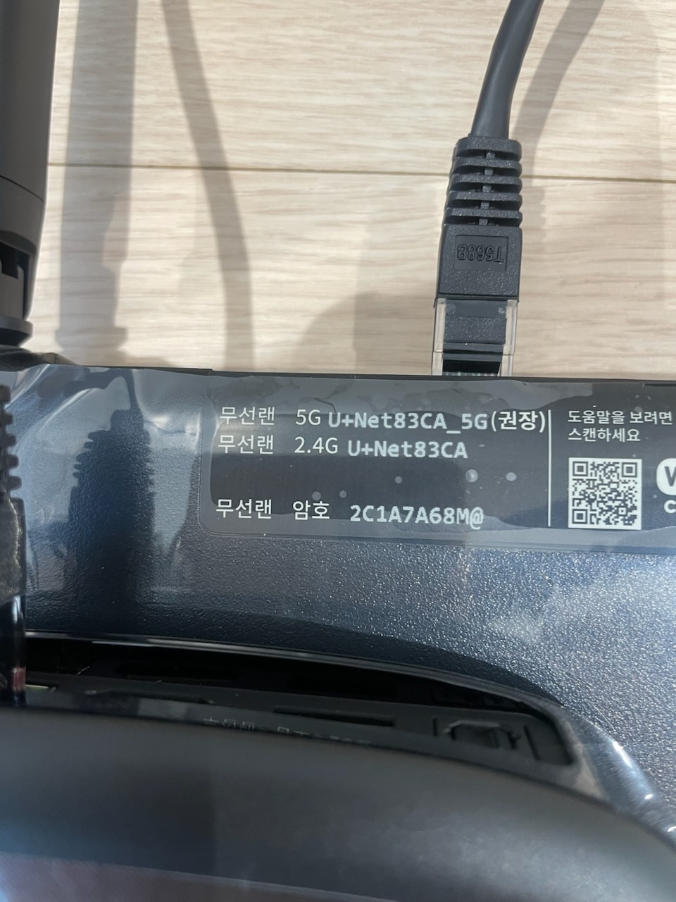 252351251.jpg
